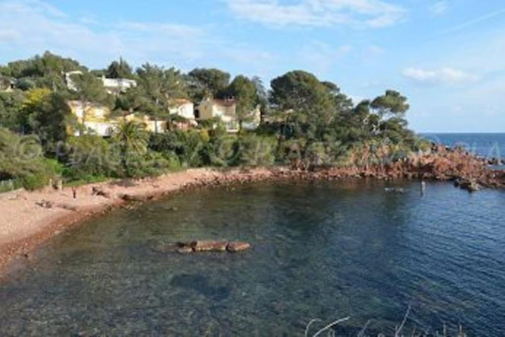 Appartement L'Evasion, Vue Mer, Plages A Pied Fréjus 외부 사진